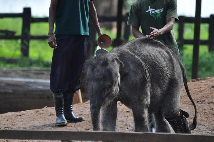 Udawalawe Safari & Elephant Transit Home Visit with Lunch from Hambantota Harbor - Photo 1 of 6